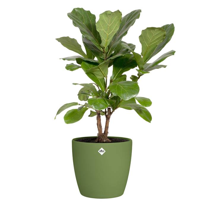 brussels rond roues 35cm moss green